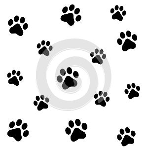 Paw prints