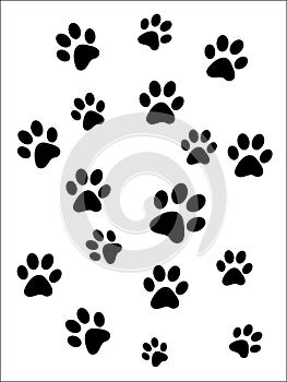 Paw prints