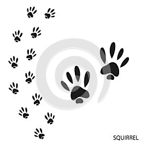 Paw prints, animal tracks, squirrel footprints pattern. Icon and track of footprints. Black silhouette.