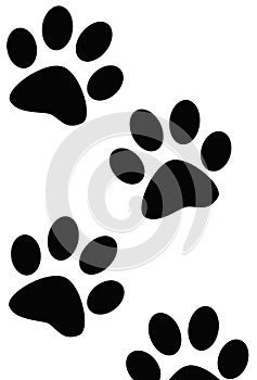 Paw Prints of Dog or Cat