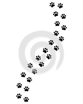 Paw prints. Footprints for pets, dog or cat. Pet print pattern. Foot puppy. Black silhouette shape paw. Footprint pet. Animal trac