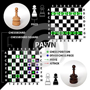 Pawn. Chess piece made in the form of illustrations and icons.