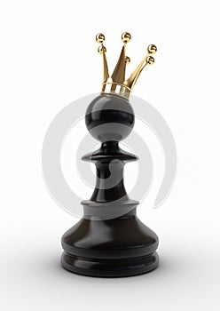 Pawn in a crown. photo