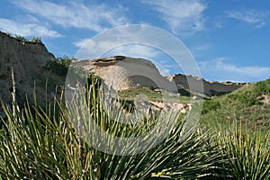 Pawnee Butte National Grasslands