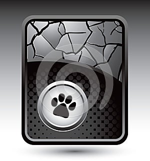Pawprint on cracked silver backdrop photo