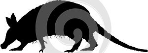 Armadillo Silhouette