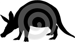 Aardvark silhouetts photo