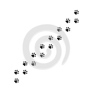 Paws cat or dog prints on floor. Animal paws isolated on white background. Pet print