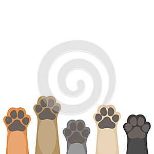 Paws up pets on white background.