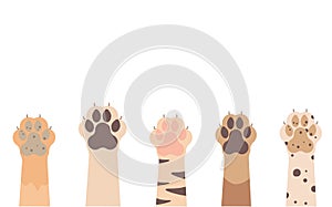 Paws up to pets set isolated on a white background