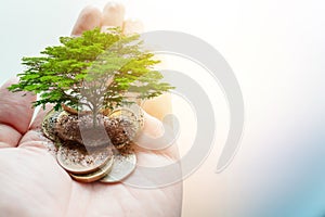 Pay money donation for green eco saving environment and earth ecology sustainable
