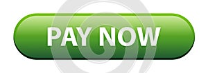 Pay now button