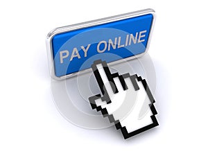 Pay online button