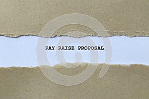 pay raise proposal on white paper