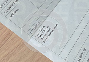 Paycheck Earnings Section