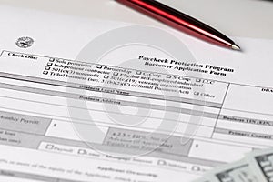 Paycheck Protection Program Borrower Application Form