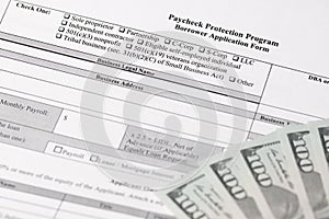 Paycheck Protection Program Borrower Application Form