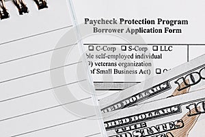 Paycheck protection program. borrower application form