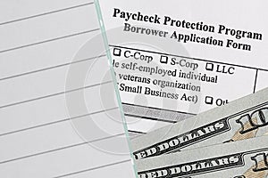 Paycheck protection program. borrower application form