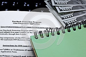 Paycheck Protection Program Loan Forgiveness Application