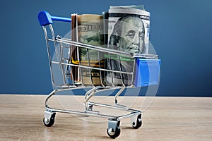 Payday cash loan. Shopping cart and money