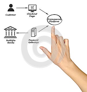 Payment Process and Ecommerce