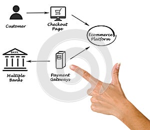 Payment Process and Ecommerce