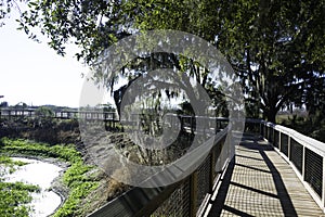 Paynes Prairie State Park