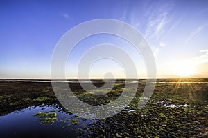 Paynes Prairie State Park at Sunset in Gainesville