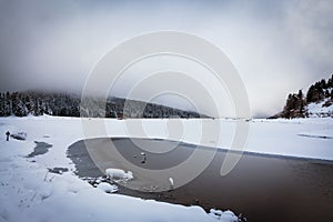 Payolle lake landscape in winter