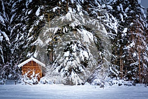 Payolle lake landscape in winter