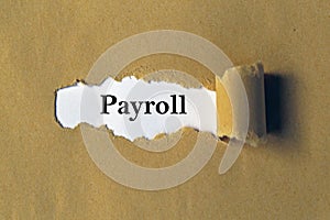 Payroll concept