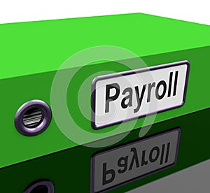 Payroll File Contains Employee Timesheet Records