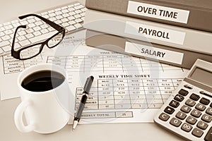 Payroll time sheet for human resources, sepia tone