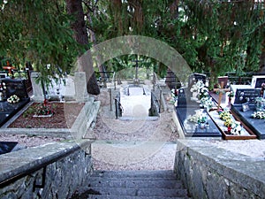 Pazin Town Cemetery My Peace or Moj mir - Pazin, Croatia / Pazinsko gradsko groblje Moj mir - Pazin, Hrvatska