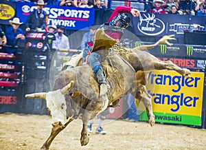 PBR bull riding world finals