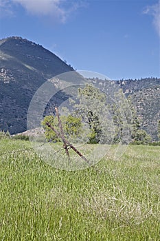 Los Padres National Forest Figueroa Mountain photo