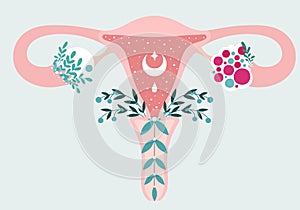 PCOS - Anatomical scheme of Uterus in flowers. Polycystic ovary syndrome - Diagram of reproductive system. Women health photo