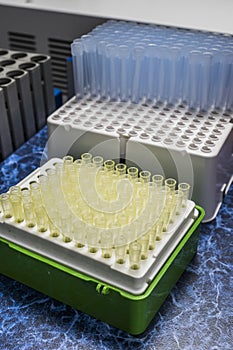 PCR container hotplate with array of test tubes containing sampled DNA for polymerase