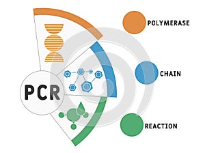 PCR -  Polymerase Chain Reaction acronym, medical concept background.
