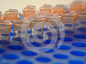 PCR tubes photo