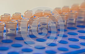 PCR tubes photo
