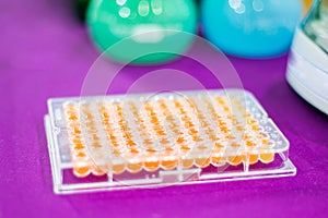 Pcr well plate on 96 well microplate with biological samples
