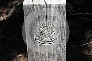 PCT Marker