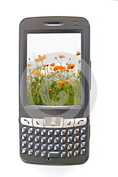 Pdaphone and flowers
