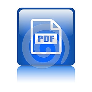 Pdf file format icon