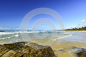 Pe de Serra beach surrounded by the sea and coconut trees