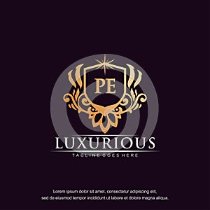 PE initial letter luxury ornament gold monogram logo template vector art