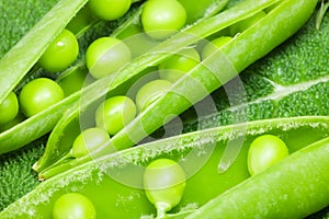 Pea