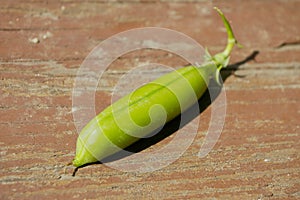 Pea as background photo